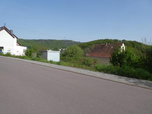 P1060647 - 