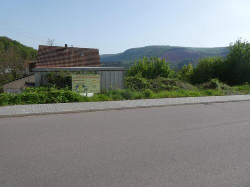 P1060645 - 