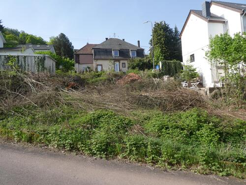 P1060649 - 