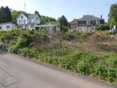 P1060650 - 