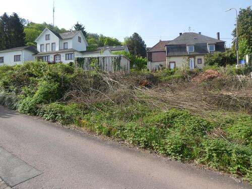 P1060650 - 
