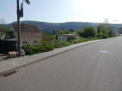 P1060643 - Grundstück in Taben-Rodt