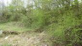 P1020454 - 