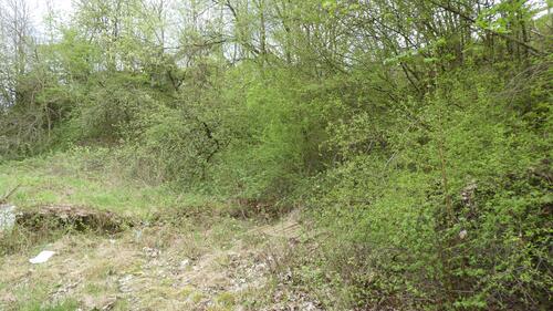 P1020454 - 