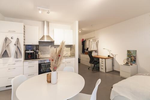 Küche/Wohnbereich - 1 Zimmer Appartement zur Miete in Trier