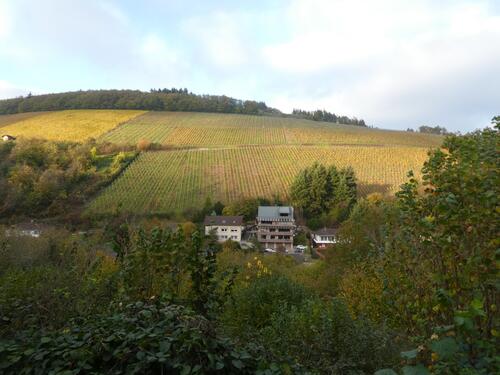 Aussicht 2 - 