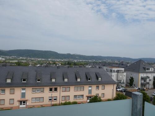 P1100357 - 