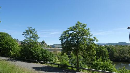 P1020568 - 