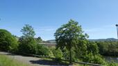 P1020568 - 