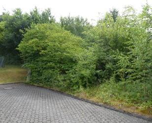 Sonniges ruhig gelegenes Baugrundstück in schöner Randlage Trier-Feyen-Grafschaft