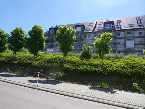 Ansicht 3 - 