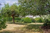 Garten 3 - 11 Zimmer Einfamilienhaus zum Kaufen in Wasserliesch