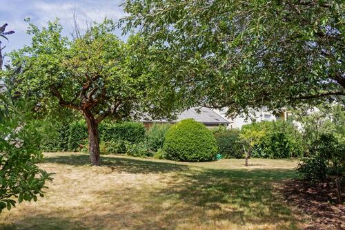 Garten 3 - 11 Zimmer Einfamilienhaus zum Kaufen in Wasserliesch