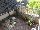 P1100549 - 