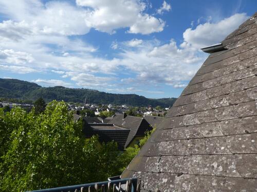Aussicht 3 - 2 Zimmer Dachgeschoßwohnung zum Kaufen in Trier