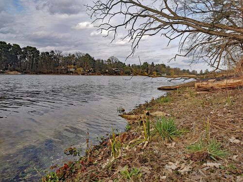 Blick entlang des Ufers Richtung Osten - Grundstück in Grünheide (Mark) zum Kaufen