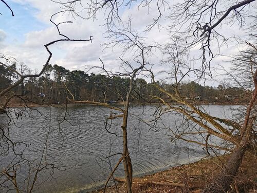 Blick von der Böschungskante des Grundstücks auf den Elsensee - Grundstück zum Kaufen in Grünheide (Mark)
