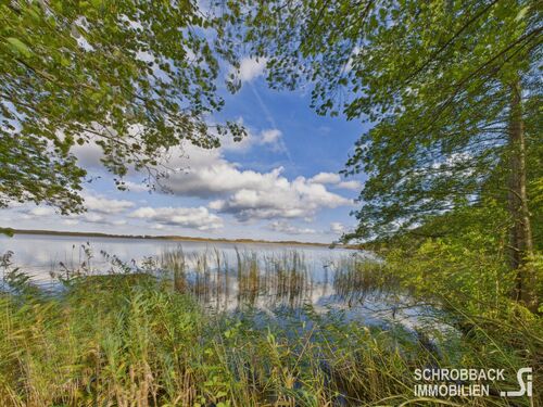 Ufer am Schweriner See - 