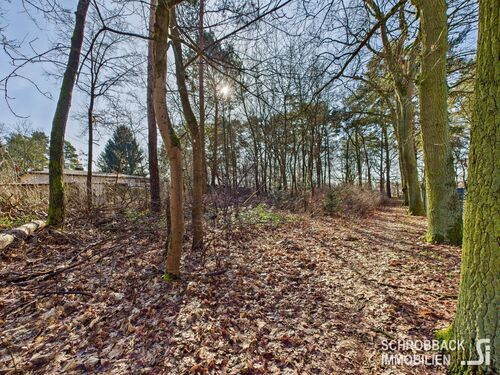 Blick von der hinteren Grundstücksgrenze zur Straße - 