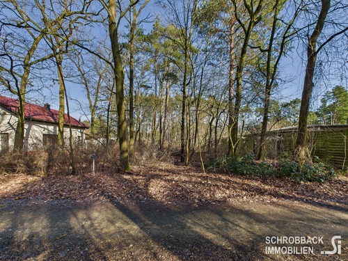 Straßenansicht - Baugrundstück in kleiner Siedlung - umgeben von Wald und Wiesen - nahe der Spree