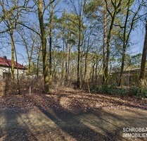 Baugrundstück in kleiner Siedlung - umgeben von Wald und Wiesen - nahe der Spree - Grünheide (Mark)