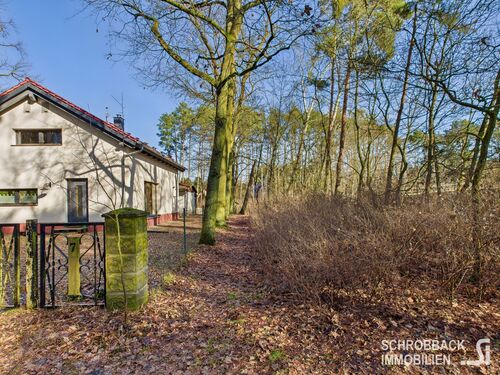 Blick zur linke Grundstücksgrenze - Grundstück zum Kaufen in Grünheide (Mark)