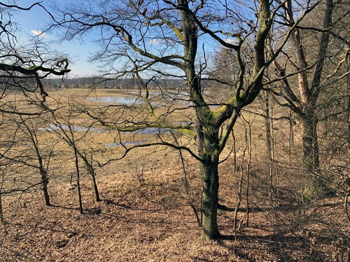 Blick zu den Spreewiesen - 