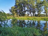 Spreelandschaft - 