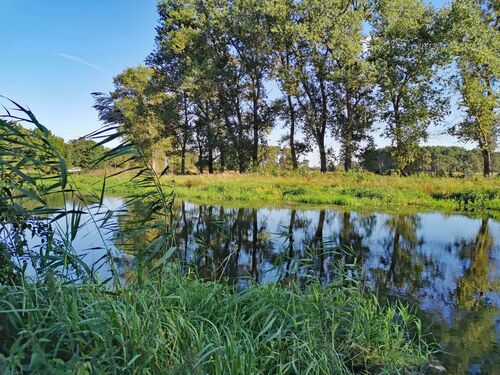 Spreelandschaft - 