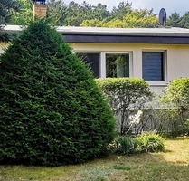 Kleiner wohnen und größer leben – naturnah mit viel Freiraum - Langewahl