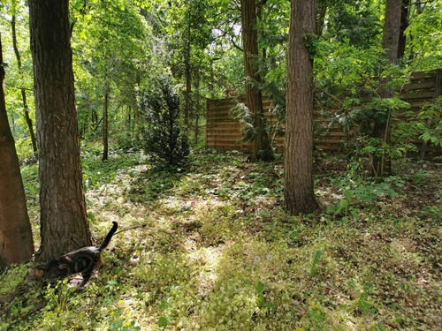 hintere Flurstücksgrenze - Einfamilienhaus mit 89,00 m&sup2; in Langewahl zum Kaufen