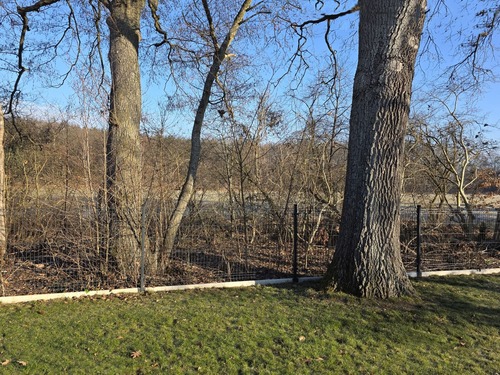 Landschaftsschutzgebiet an der hinteren Grundstücksgrenze - 3 Zimmer Einfamilienhaus in Grünheide (Mark)