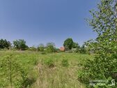 Blick zur hinteren Grundstücksgrenze - Grundstück in Grünheide (Mark) zum Kaufen