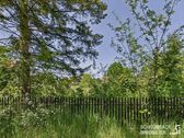 Straßenansicht- linke Grundstücksgrenze - Naturbelassenes Baugrundstück in Hangelsberg - Morgens Vogelstimmen statt Straßenlärm