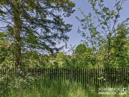 Straßenansicht- linke Grundstücksgrenze - Naturbelassenes Baugrundstück in Hangelsberg - Morgens Vogelstimmen statt Straßenlärm