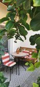 Freisitz - 