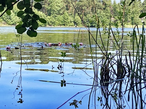 Seerosen - Wochenendgrundstück mit direktem Seezugang - am Elsensee in Grünheide (Mark)