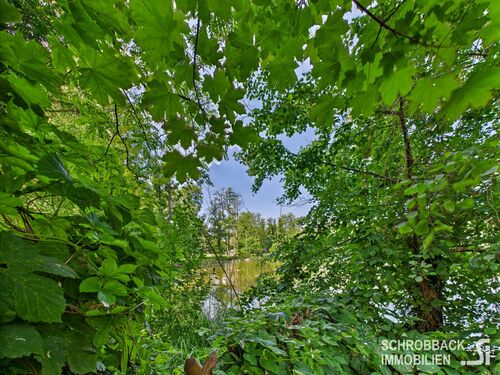 Blick auf den See - 1 Zimmer Bungalow zum Kaufen in Grünheide (Mark)