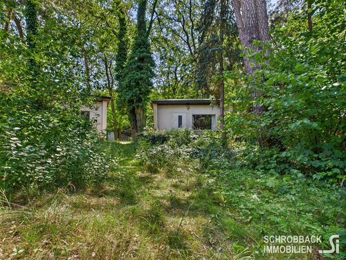 Blick von der Wasserseite zu den Häusern - Bungalow mit 21,47 m² in Grünheide (Mark) zum Kaufen