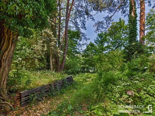 Weg von der Terrasse zum Ufer - 