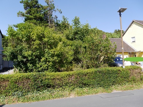 Garten und Hausansicht - Doppelhaushälfte mit 140,45 m&sup2; in Rommerskirchen Gill zum Kaufen