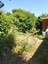 Garten rückseitig - 