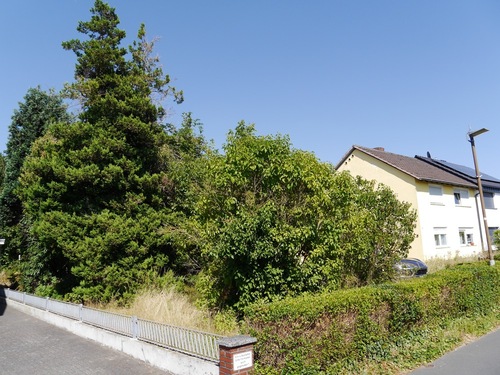 Garten und Hausansicht - 
