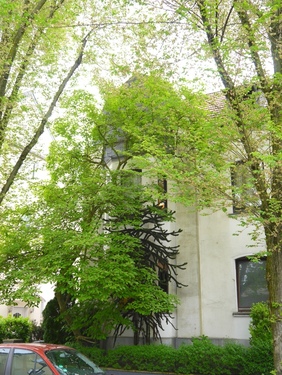 Hausansicht - E-Stadtwald, 1 Fam.Haus, 192m² Wfl., Altbau aus Bj. 1910, Renovierungsbedarf