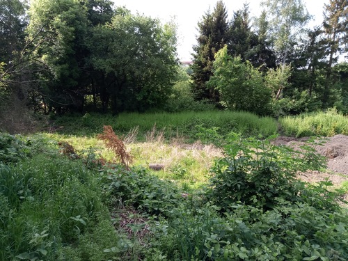 Unbebautes Grundstück - 4 Zimmer Doppelhaushälfte zum Kaufen in Essen Werden