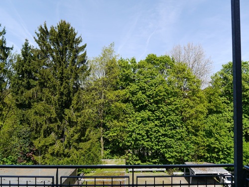 Ausblick - 