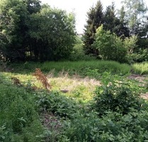 Förderungsprojekt Grundstück für Einfamilienhaus für Familien mit Kindern (DHH) Essen-Werden