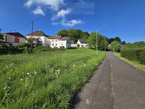 Schmelz-Limbach - 