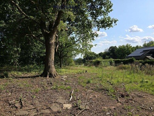 Foto - Ferienhaus mit 60,00 m&sup2; in Schmelz zum Kaufen