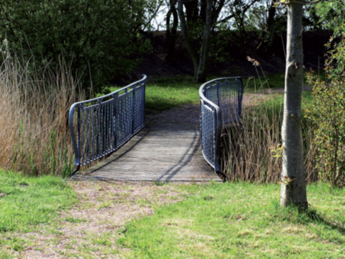 Grundstück - 6 Zimmer Einfamilienhaus zum Kaufen in Friedrichskoog